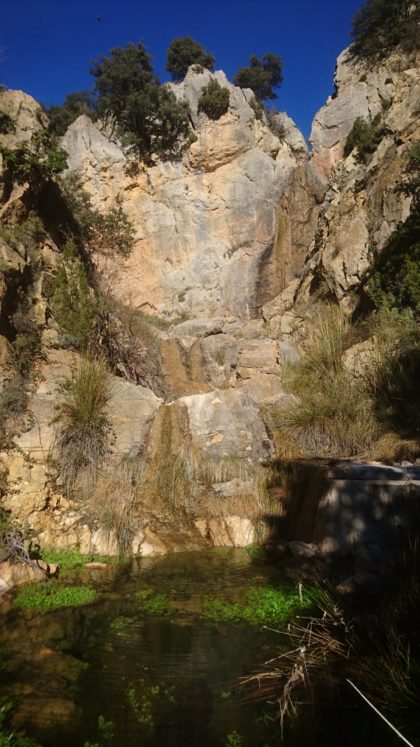 Fuente de los Berros